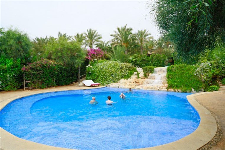 Edde Sands on Sunday